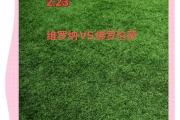 开云体育app-佛罗伦萨遭遇翻盘，惨败无缘胜出