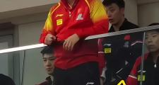 开云体育APP下载-日本乒乓球队碾压德国乒乓球队，王皓送出助攻