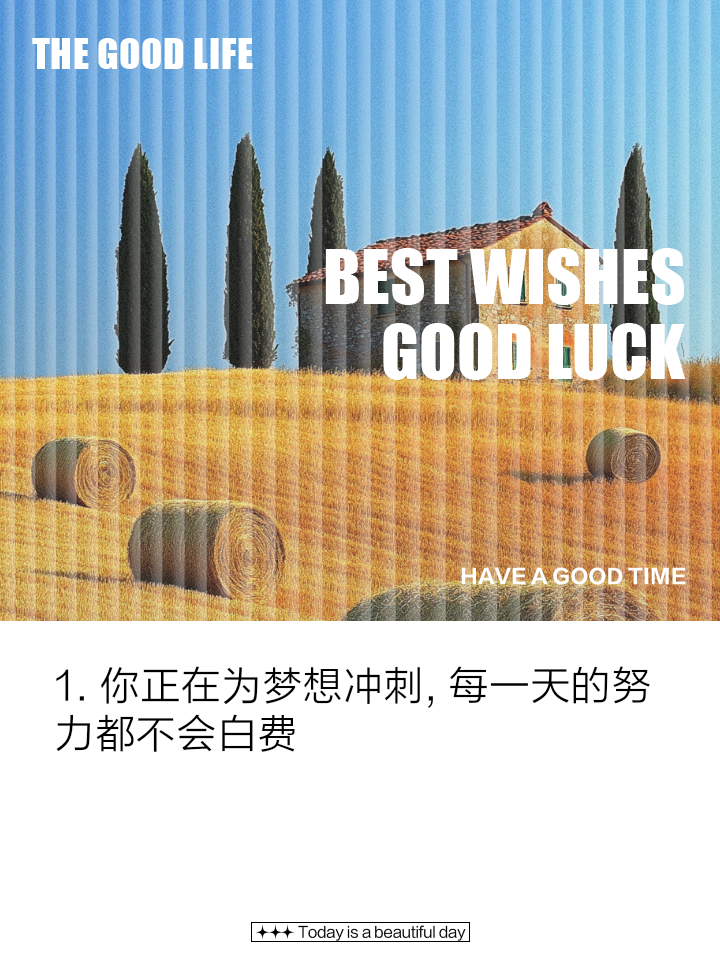南极洲球员雪中起舞，勇往直前决胜悍将的简单介绍