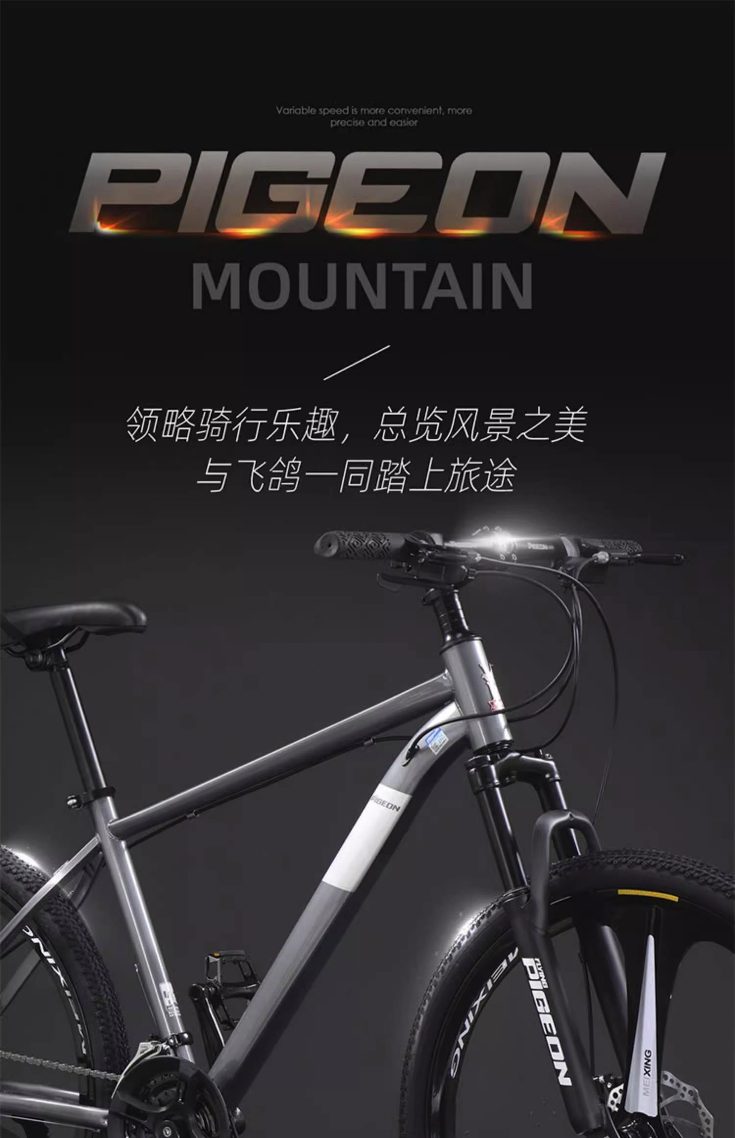 自行车速度飞快，一路领先拼尽全力的简单介绍