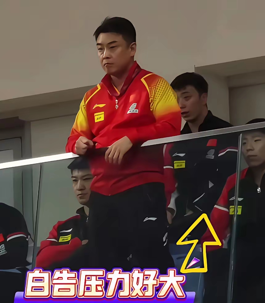 日本乒乓球队碾压德国乒乓球队，王皓送出助攻