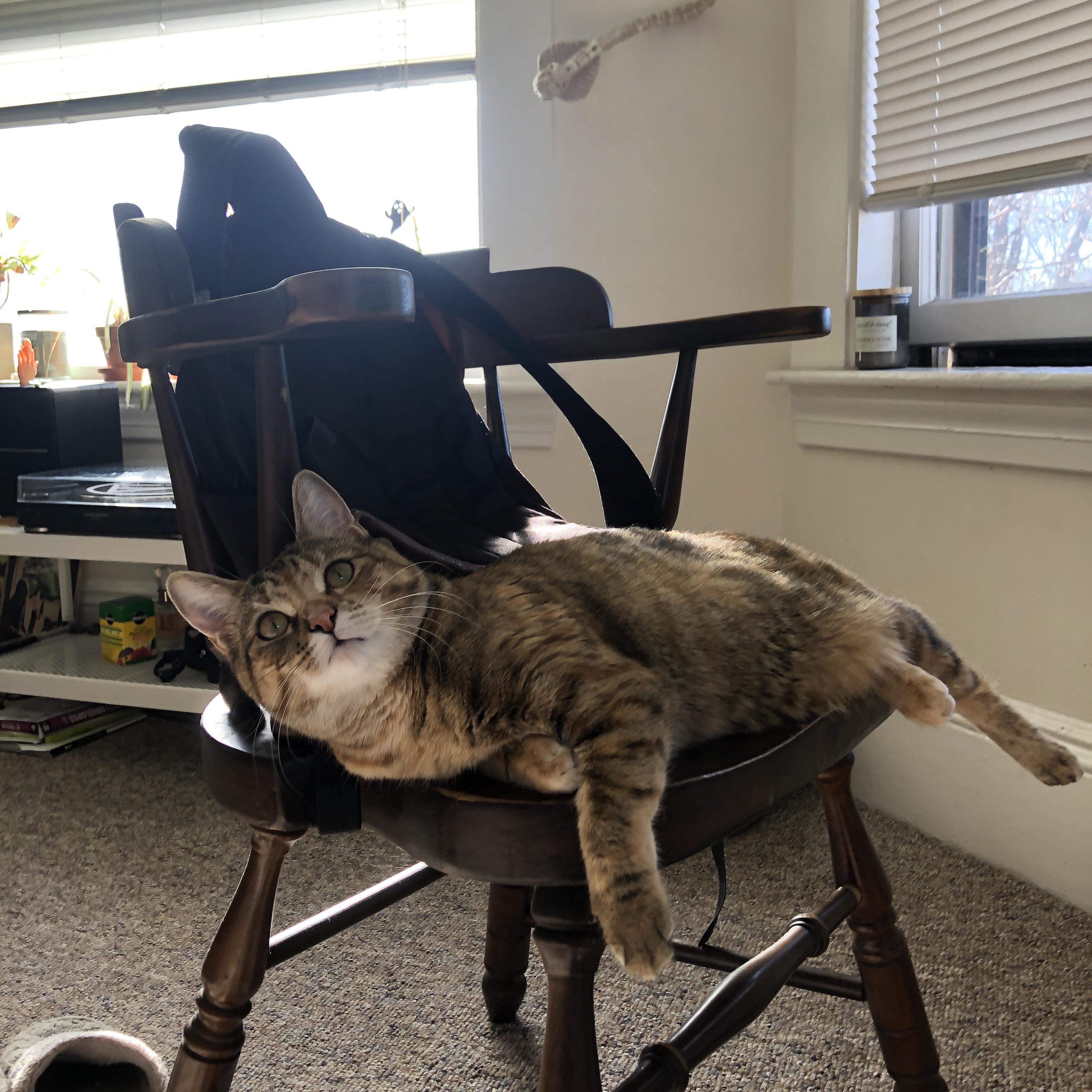 德布劳内一锤定音，希腊淘汰爱尔兰晋级淘汰赛下一轮