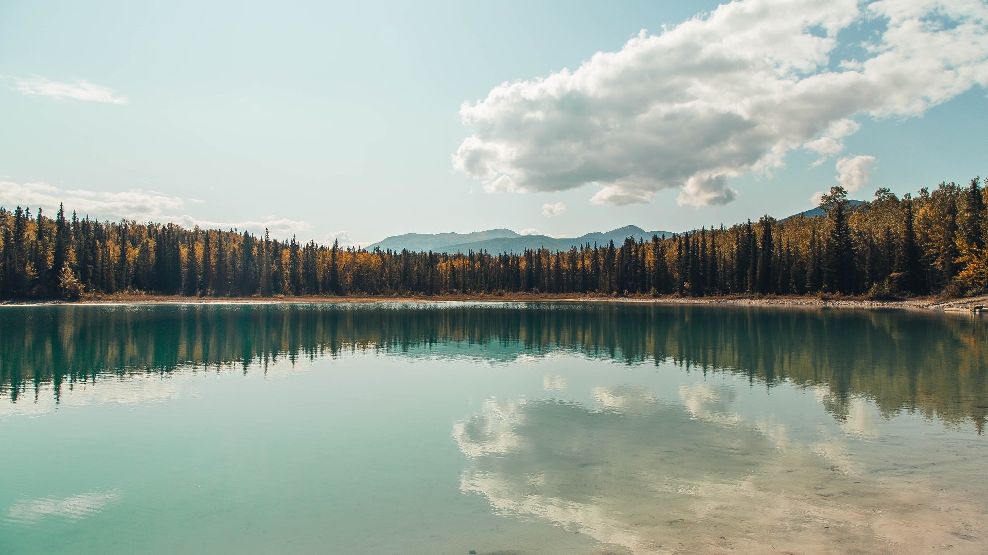 末节风暴!伦纳德死神镰刀出鞘,猛龙强行带走骑士