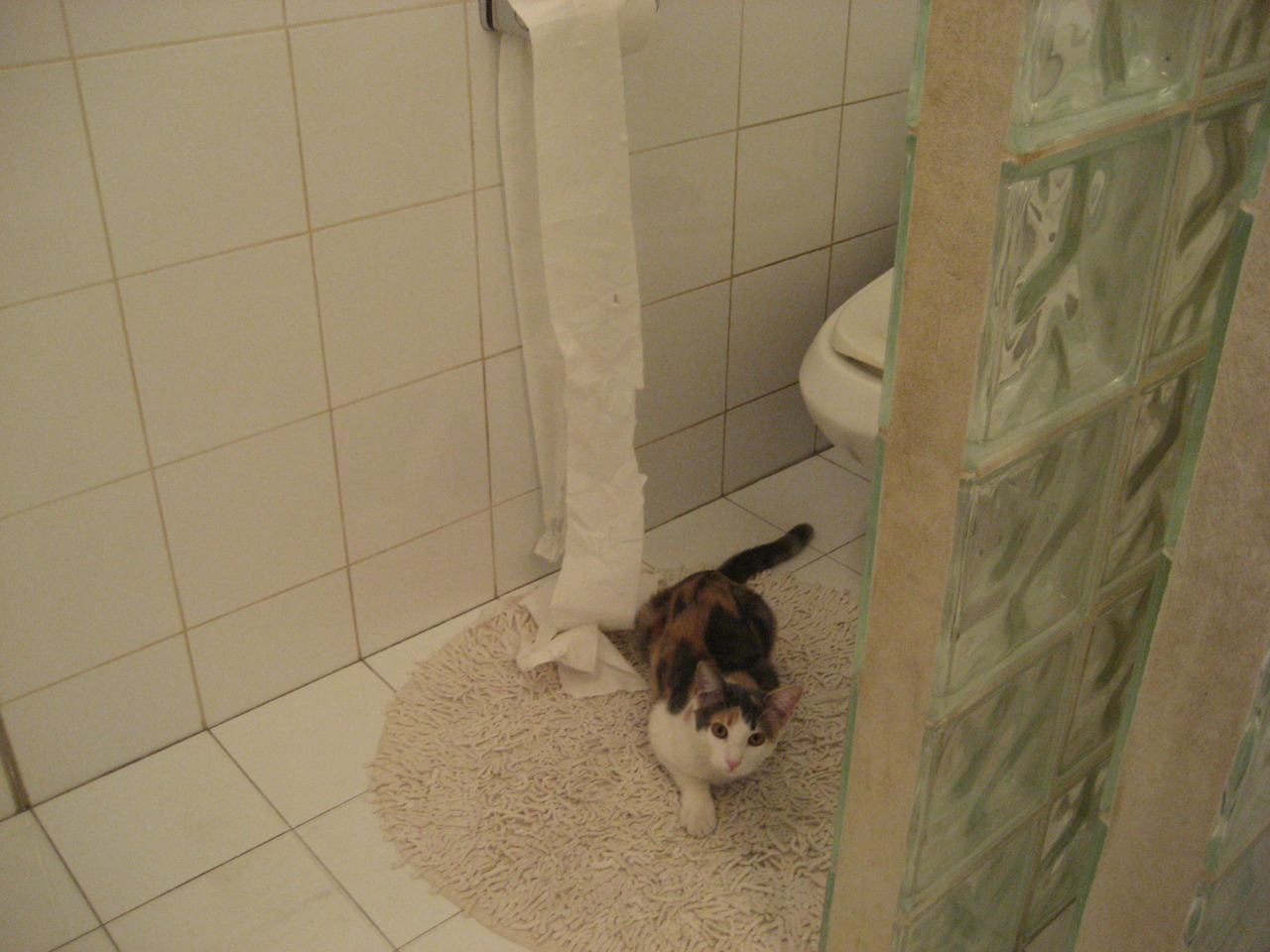 铁闸霍勒迪,一场让新疆队窒息的防守教学