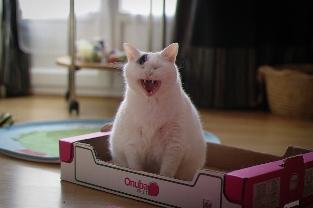 体系与英雄,从马刺打穿雄鹿到浓眉接管抢七,看篮球哲学的永恒辩题