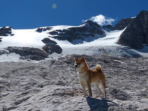 烈焰灼冰！詹姆斯慢火细烹拆解爵士铁桶阵