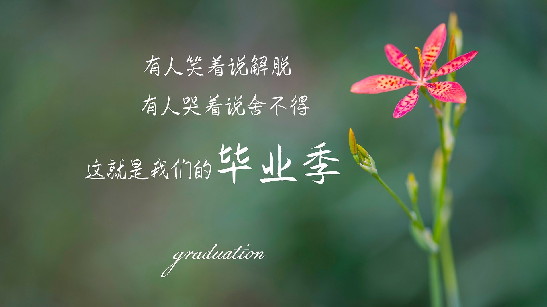 三分暴雨对撼禁区之王，勇士火力全开压制步行者，锡安独木难支主宰走向