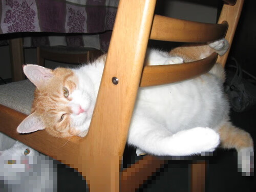 厄德高点燃北欧风暴，马赛绝境逆袭墨西哥铁卫梦碎欧冠