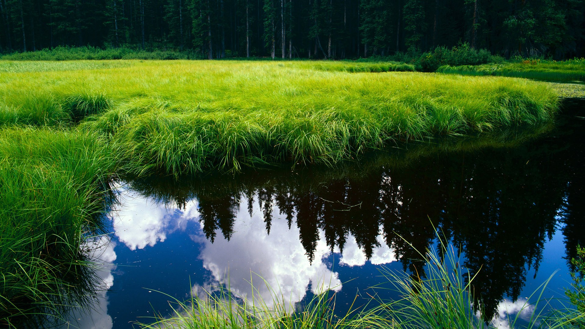意甲焦点战现超巨时刻，英格拉姆一球定乾坤，诠释领袖真义