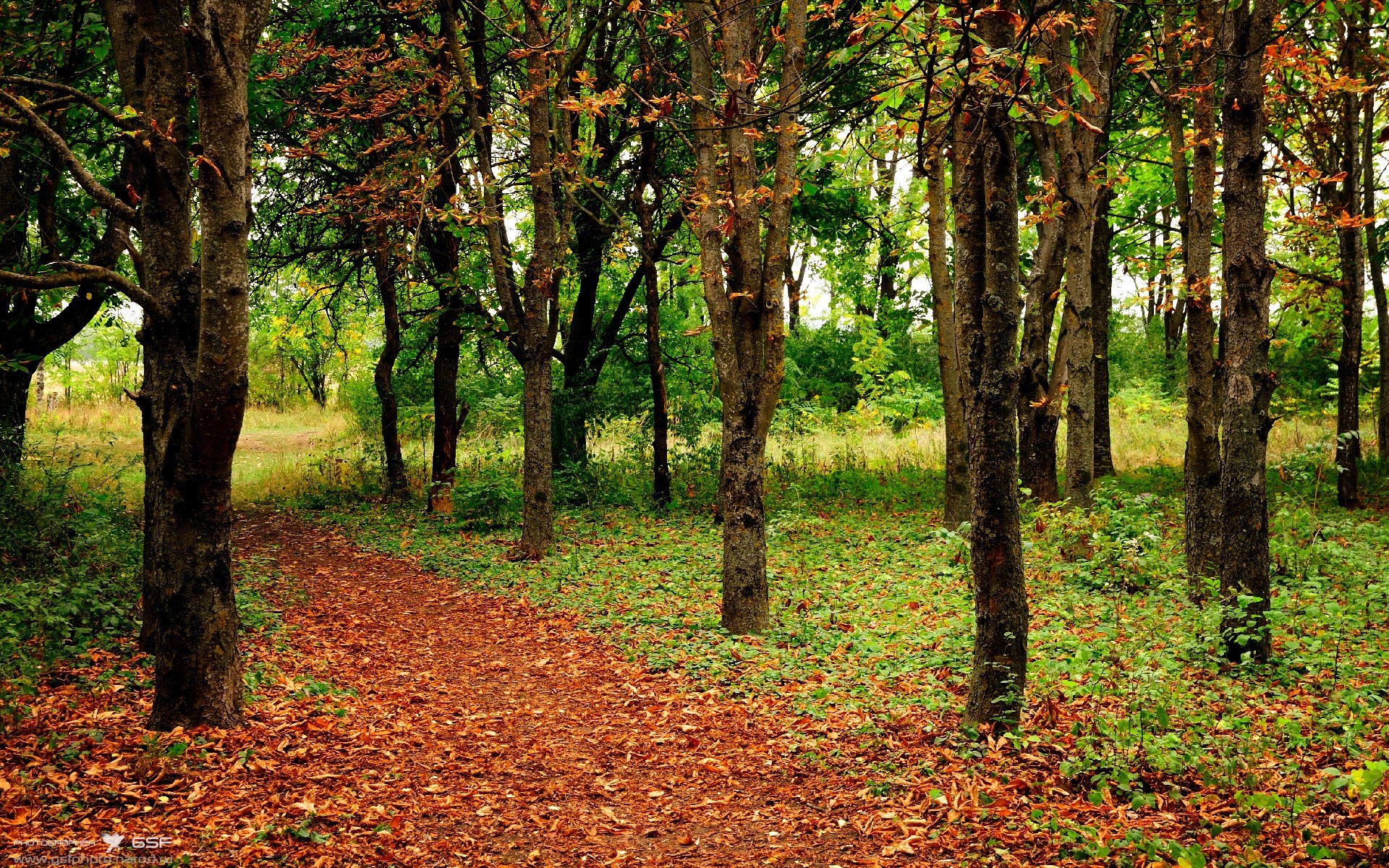 意甲焦点战现超巨时刻，英格拉姆一球定乾坤，诠释领袖真义