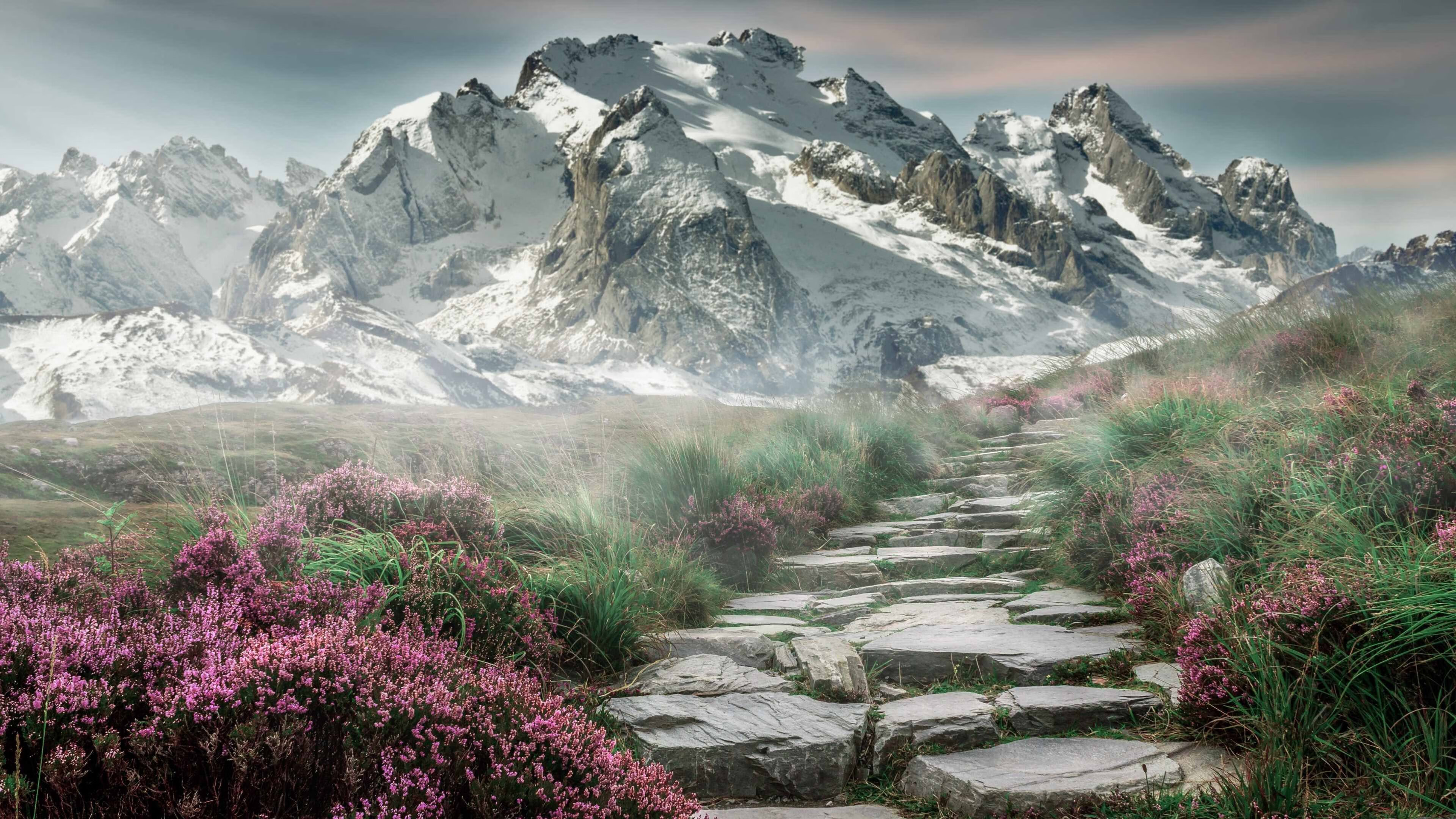 欧冠淘汰赛焦点战,马赛斩落拜仁,黑马逆袭创奇迹